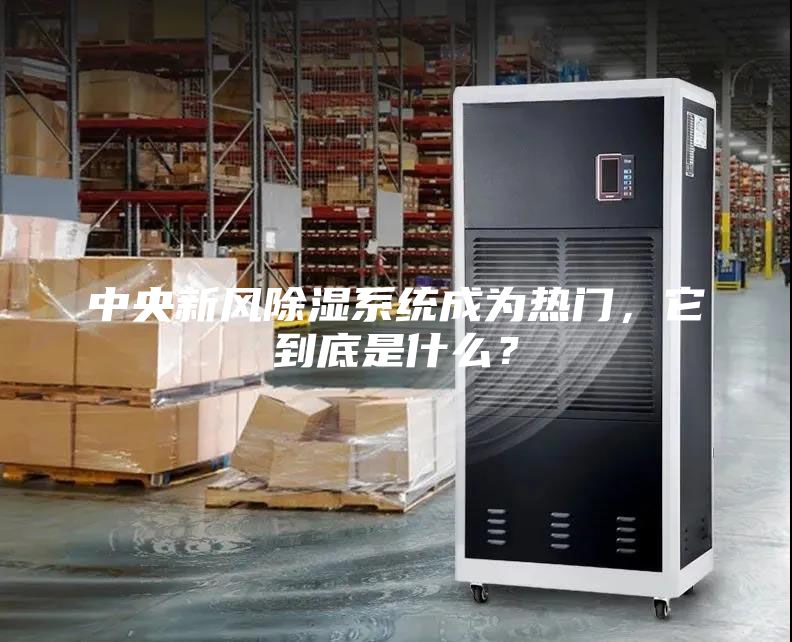 中央新风除湿系统成为热门,它到底是什么?