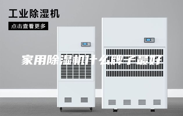 家用除湿机什么牌子最好