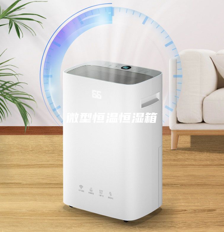 微型恒温恒湿箱