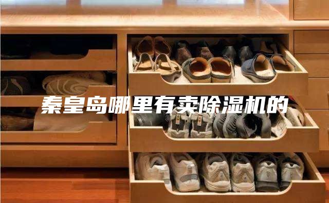 秦皇岛哪里有卖除湿机的