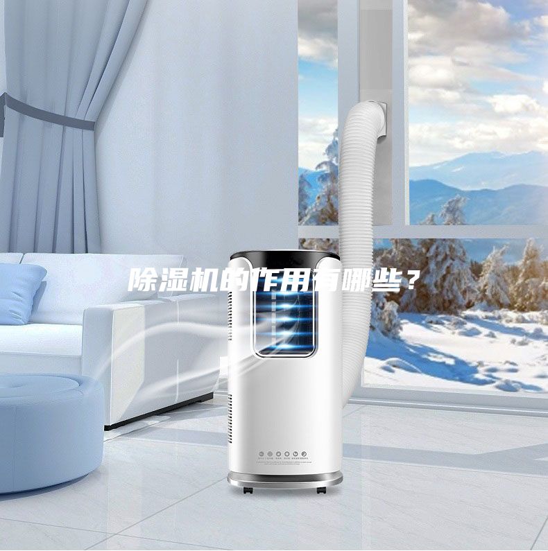 除湿机的作用有哪些?