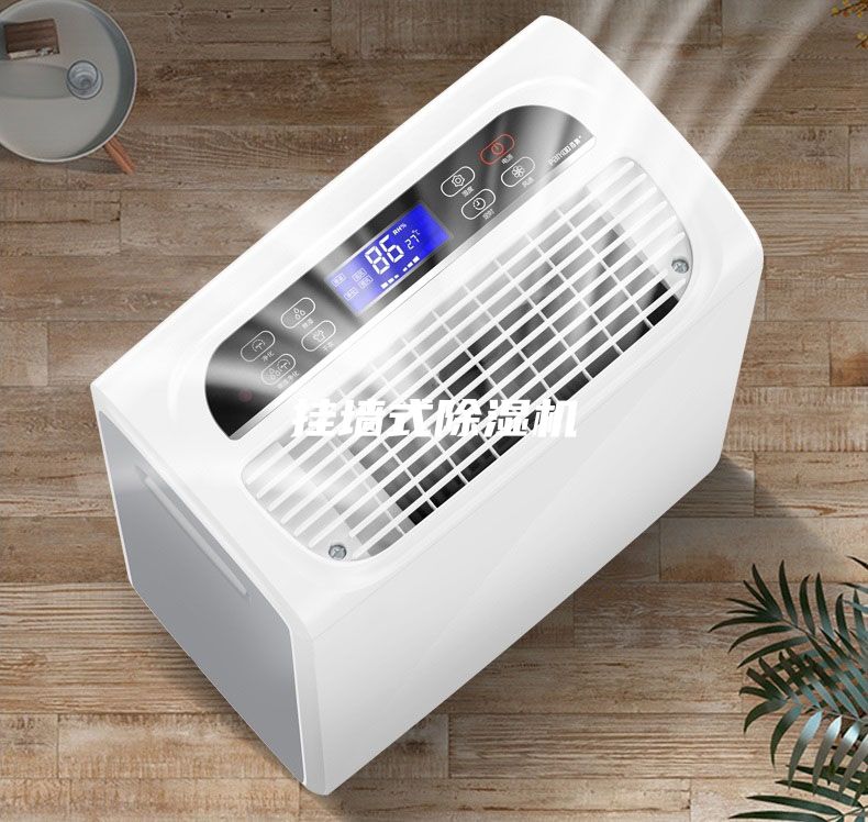 挂墙式除湿机