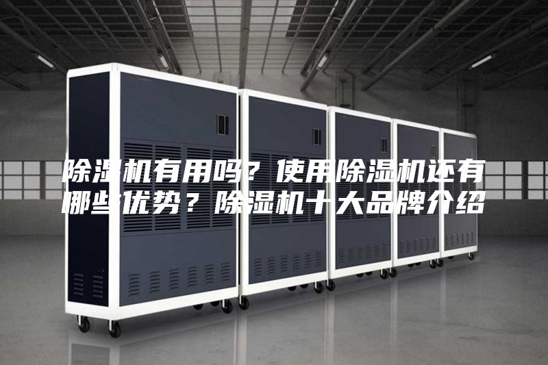 除湿机有用吗?使用除湿机还有哪些优势?除湿机十大品牌介绍