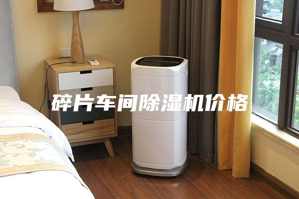 碎片车间除湿机价格