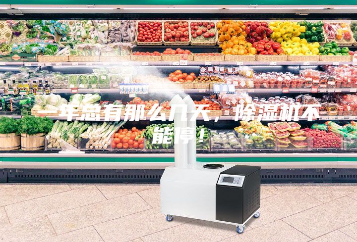 一年总有那么几天，除湿机不能停！