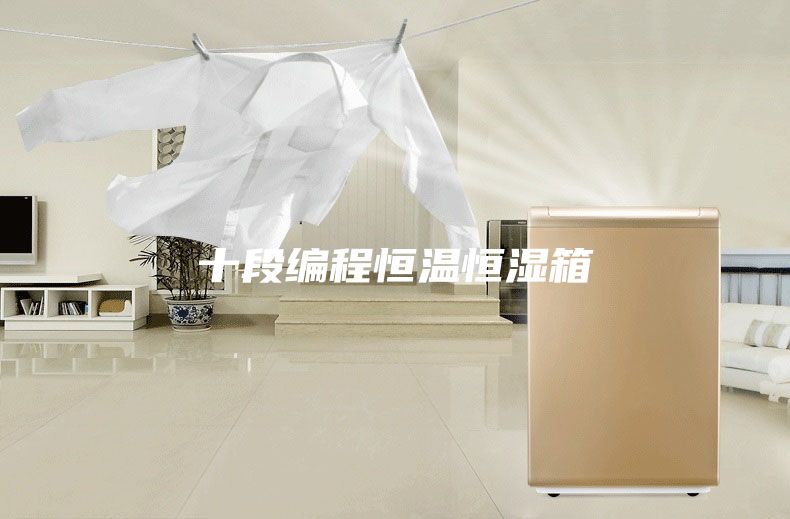 十段编程恒温恒湿箱